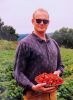 Tim Carson Picking Strawberries